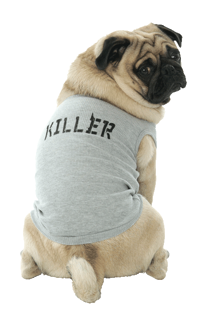 T-Shirts for Dogs