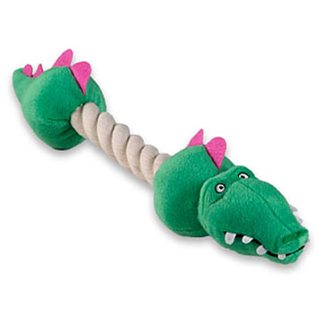 Alligator