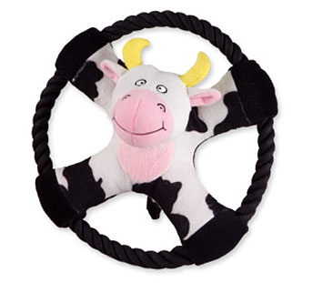Crazy Cow