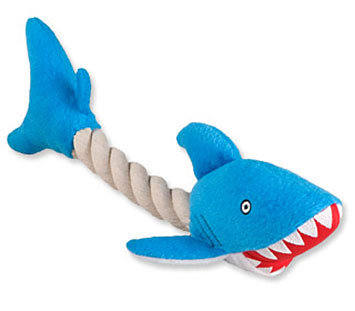 Shark